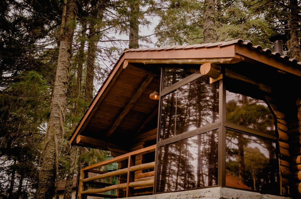 Отель Refugio Do Caracol Chales Канела Экстерьер фото